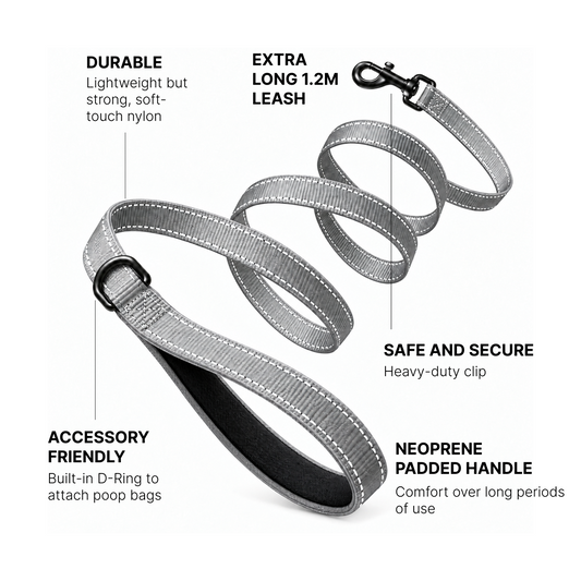 NightSight™ Ultra-Reflective Dog Leash