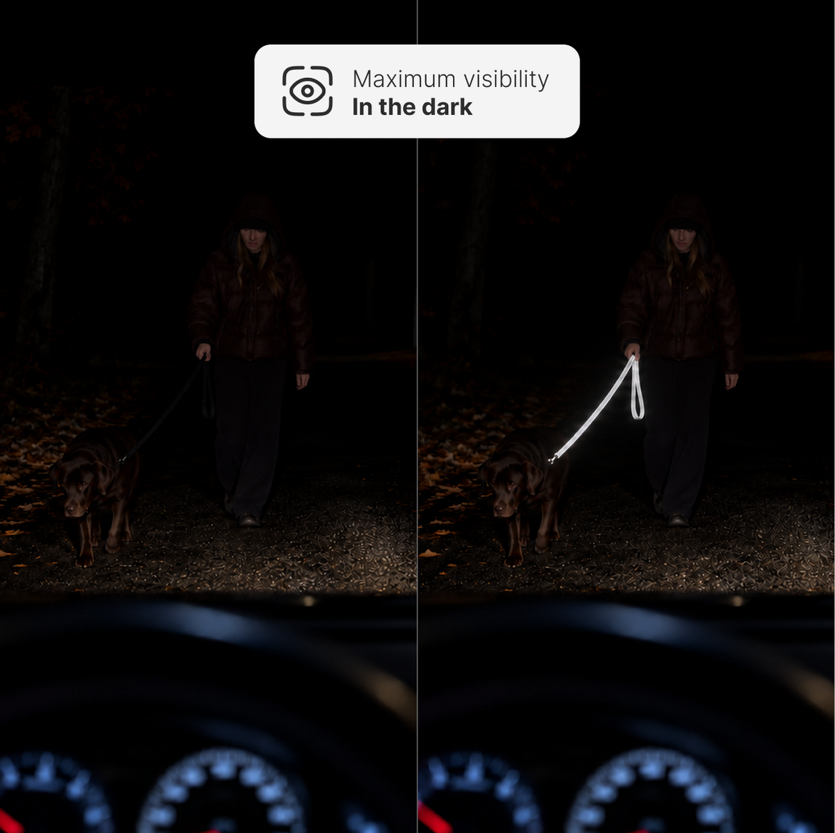 NightSight™ Ultra-Reflective Dog Leash