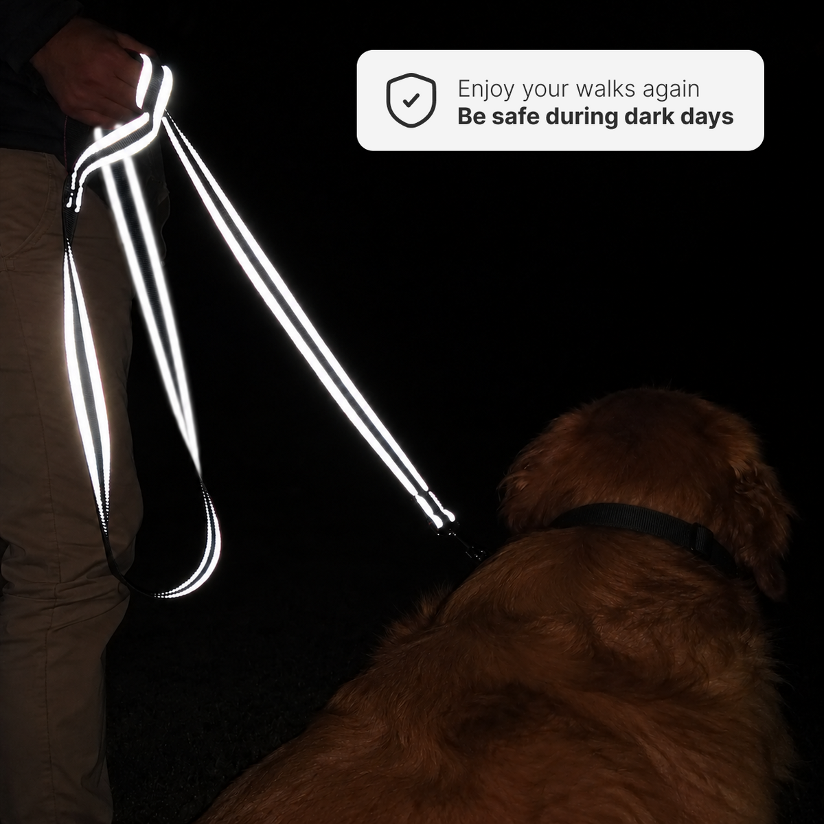 NightSight™ Ultra-Reflective Dog Leash