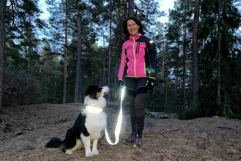 Dog and owner with a reflective leash lit up by light at dusk